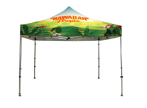 Classic Casita Canopy Tent
